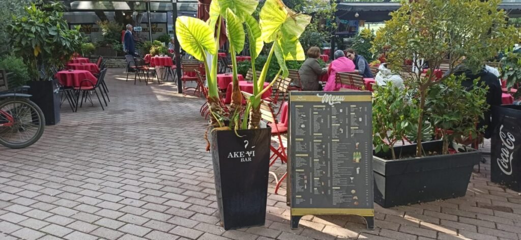 Cafes Near the Grand Park