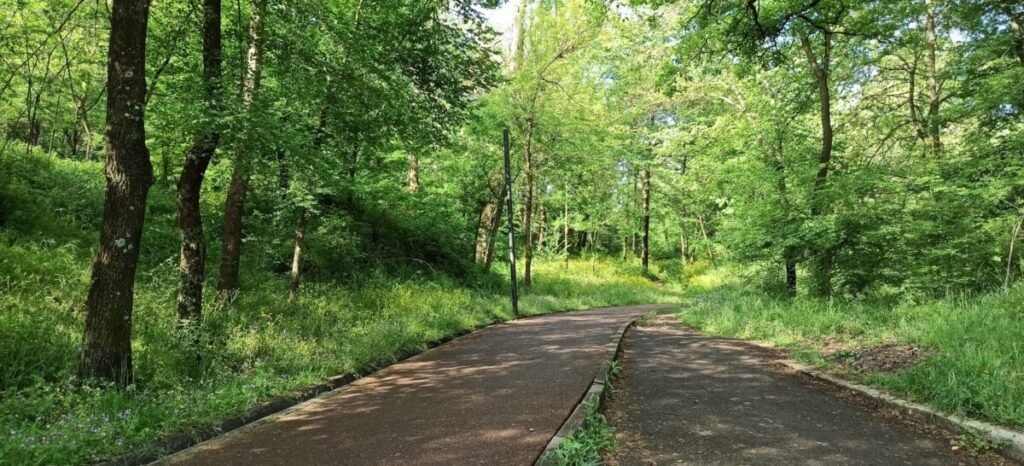 Stroll Around the Grand Park