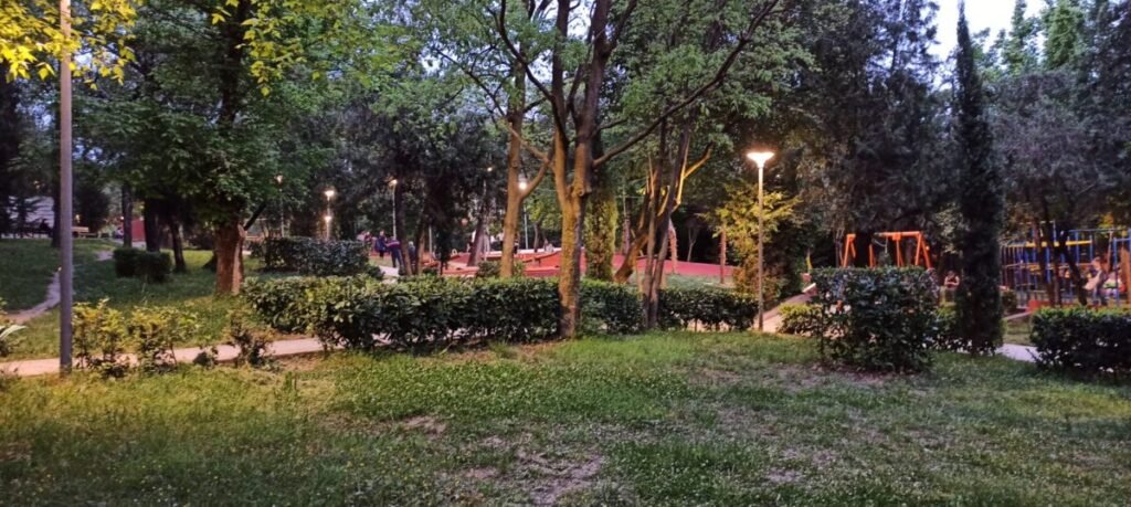 A green space for relaxation and recreation