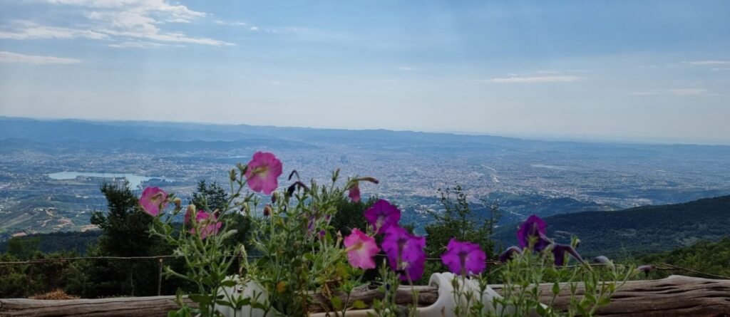  Mount Dajti